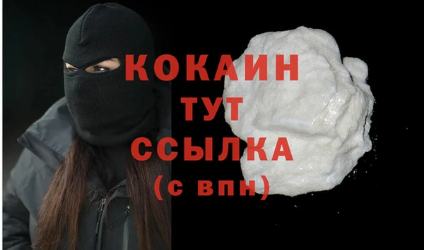 стаф Абинск