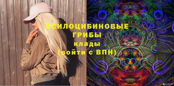 стаф Абинск